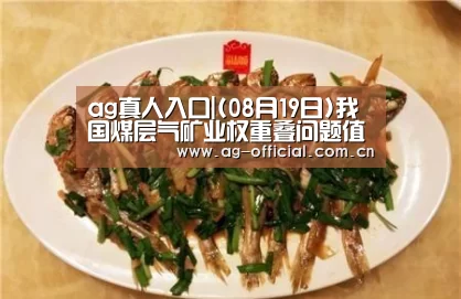 ag真人官网